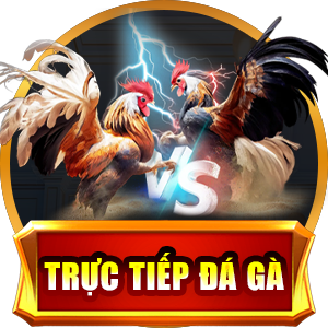 Trực Tiếp Đá Gà